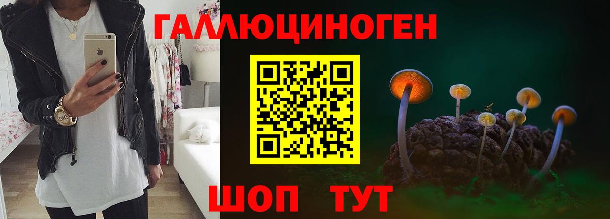 Острогожск  Галлюциногенные грибы GOLDEN TEACHER  Вход с VPN 